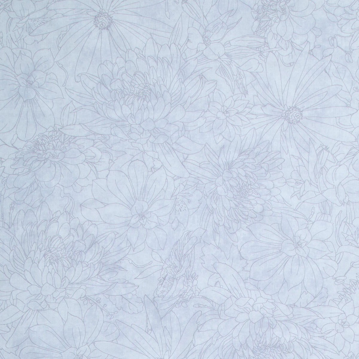 fine-line-floral-quilt-backs-pale-gray-108-wide-backing-yardage