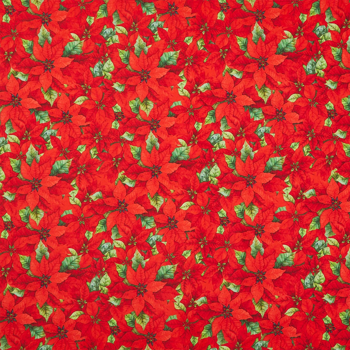 poinsettia-radiance-packed-poinsettia-red-yardage