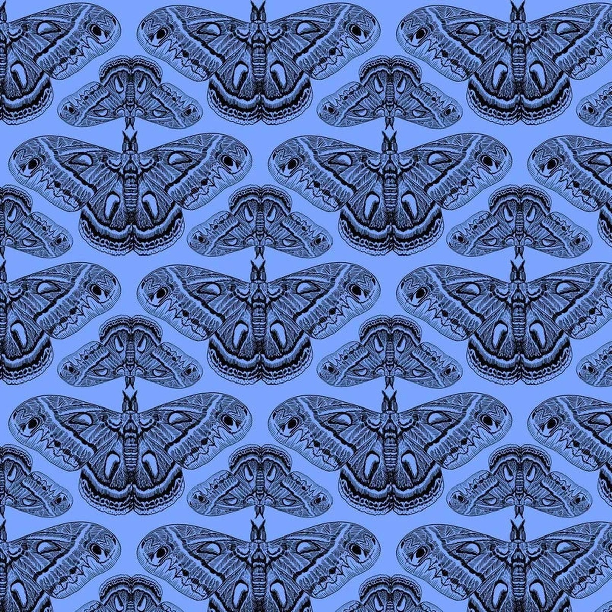 indelible-ink-cerulean-cecropia