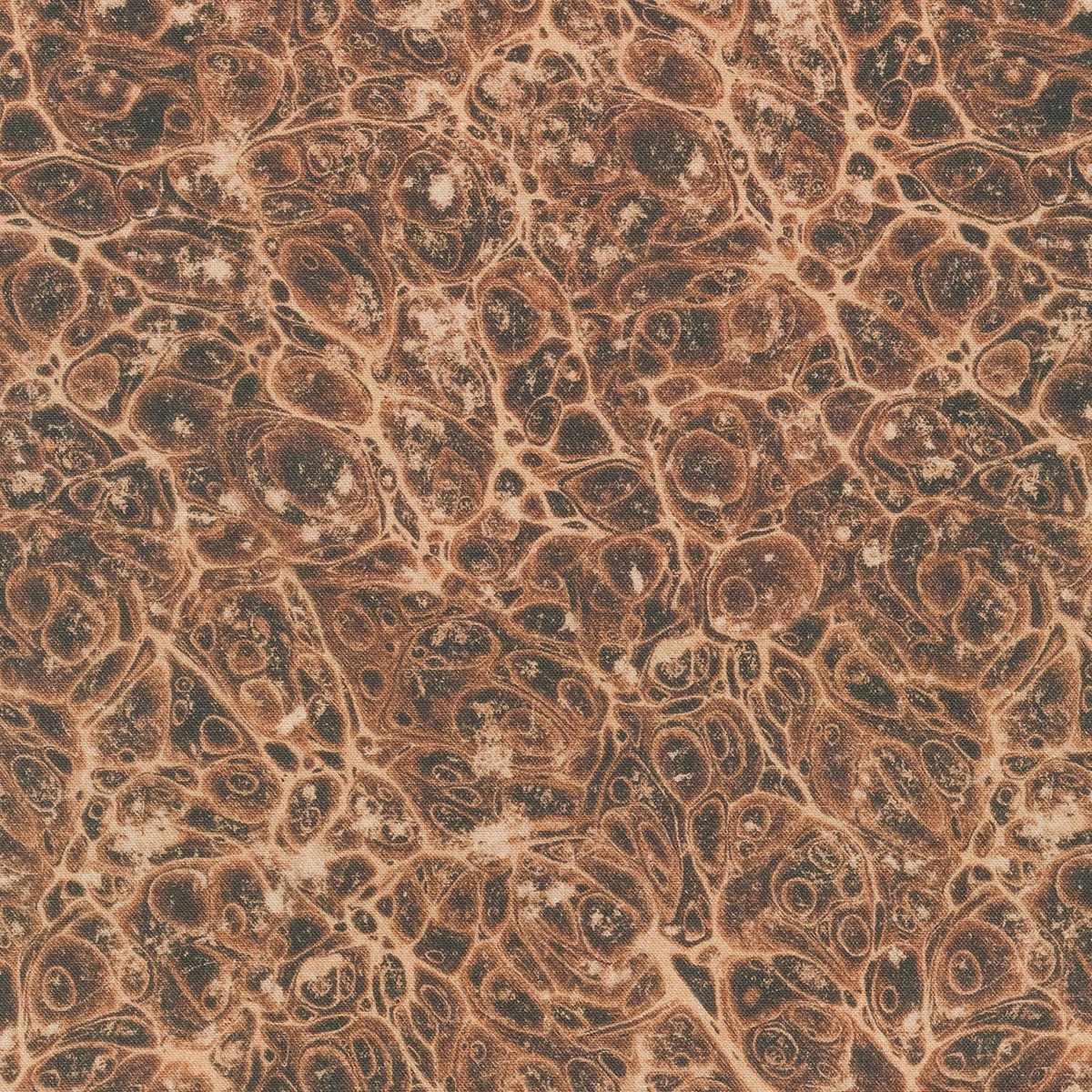 eclectic-elements-palette-marble-neutral-yardage