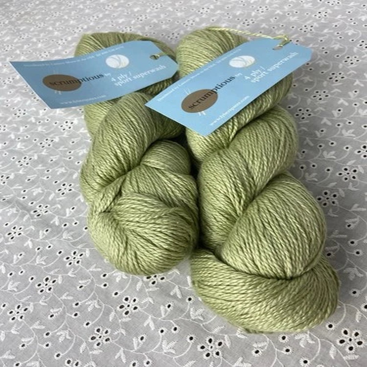 fyberspates-scrumptious-by-ysolda-4ply-yarn-flying-saucer-silk-superwash-merino