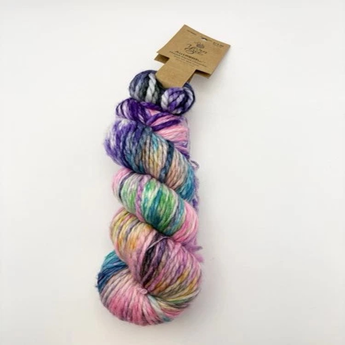 yarn-bee-authentic-hand-dyed-chunky-100-sw-merino-bulky-fun-in-the-sun-110yd