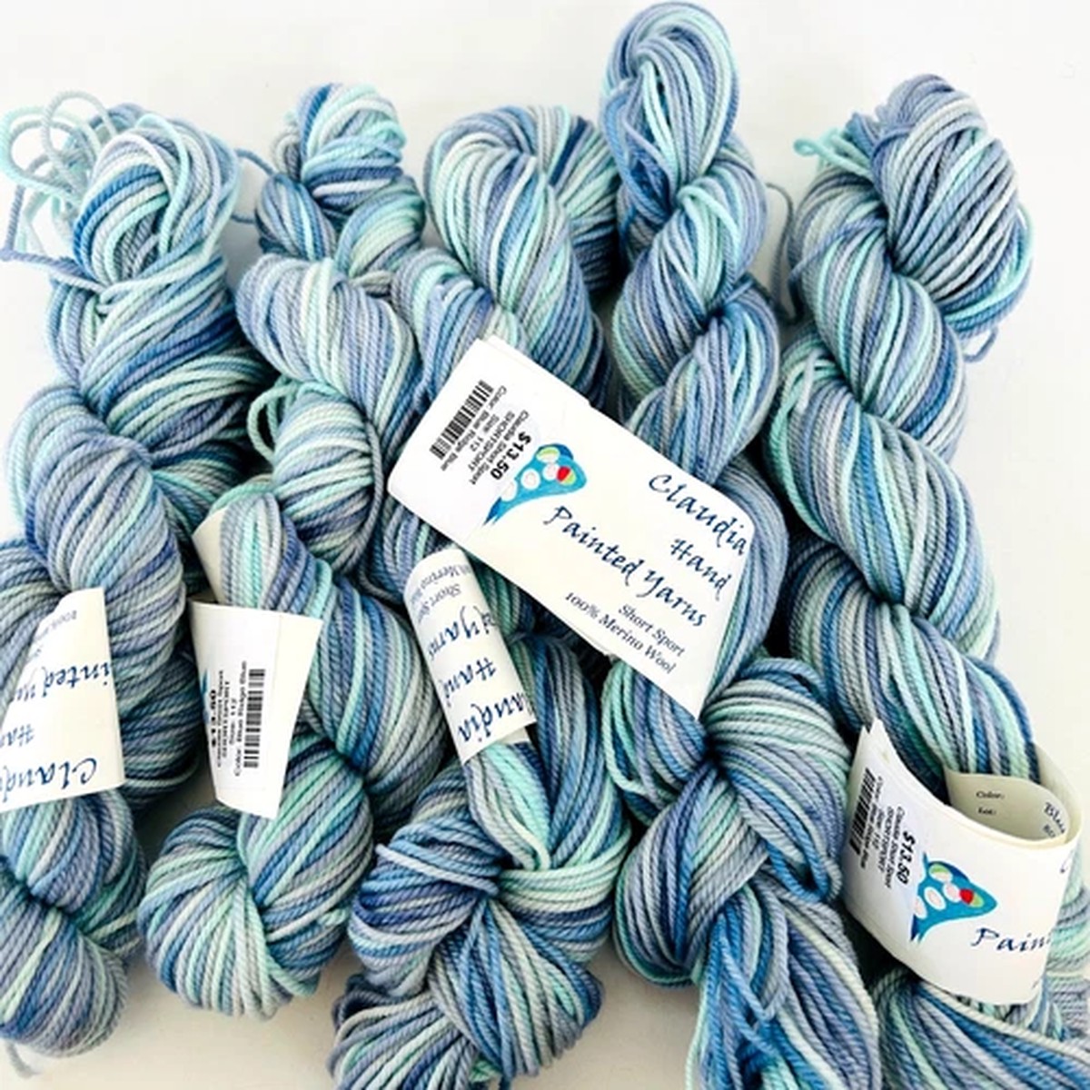 claudia-hand-painted-yarns-merino-wool-short-sport-50g-112yds-5-skein-blue-ridge