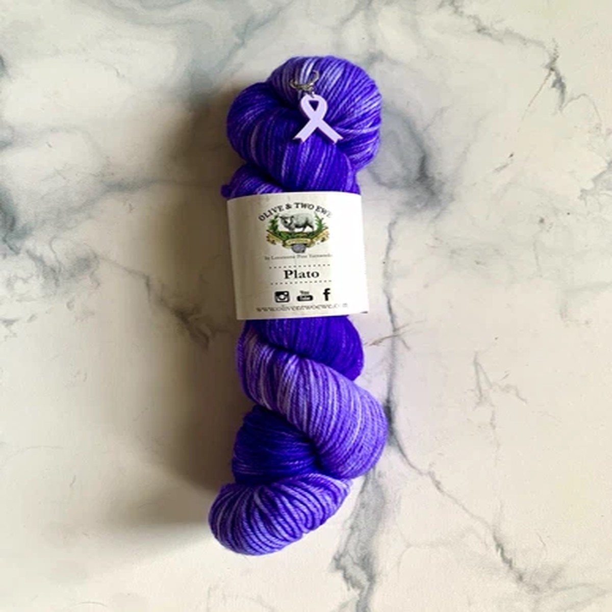 olive-two-ewe-plato-dk-yarn-sw-merino-nylon-hand-dyed-purple-hank-knitting