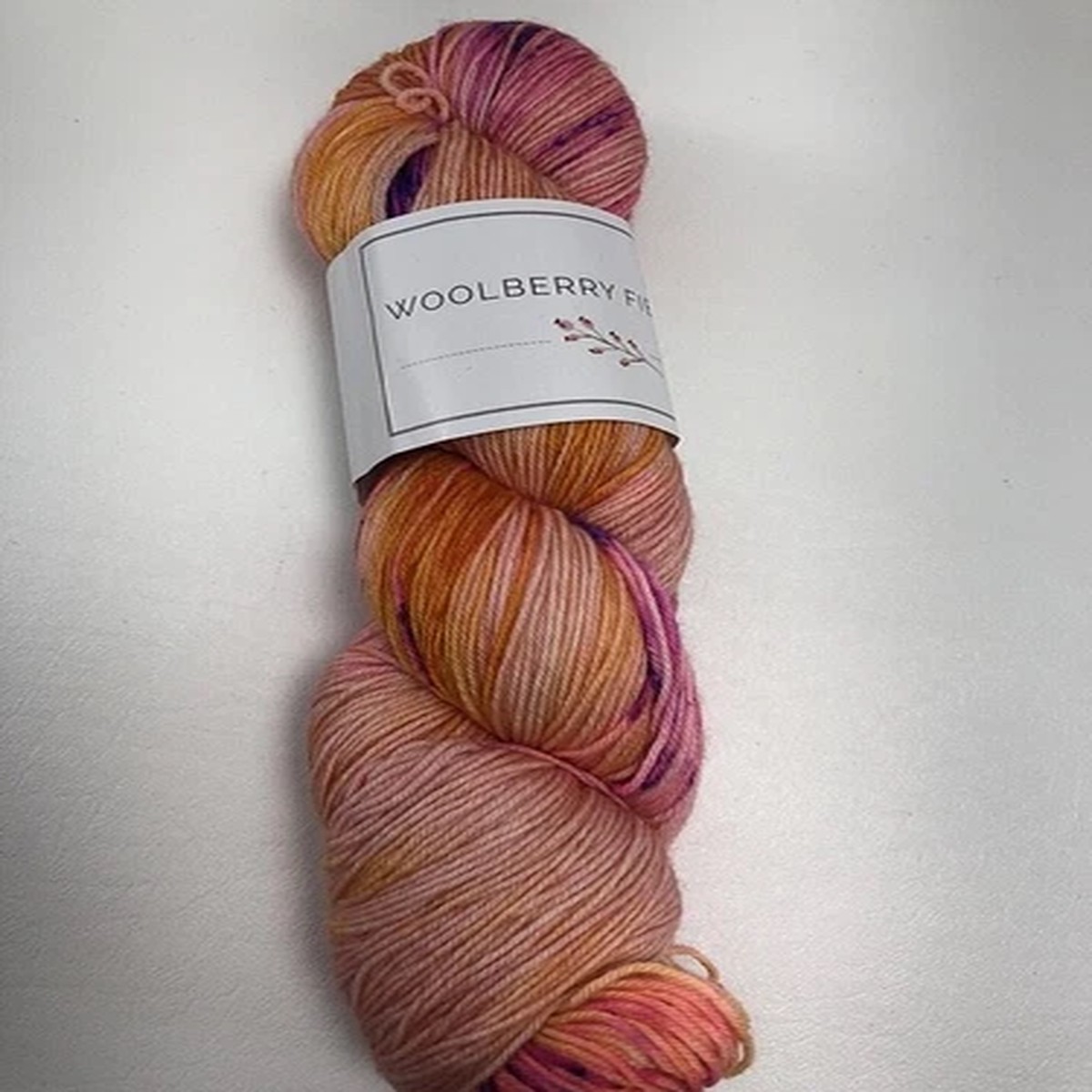 woolberry-fiber-co-simple-sock-verigated-yarn-merino-fingering-retired-rare