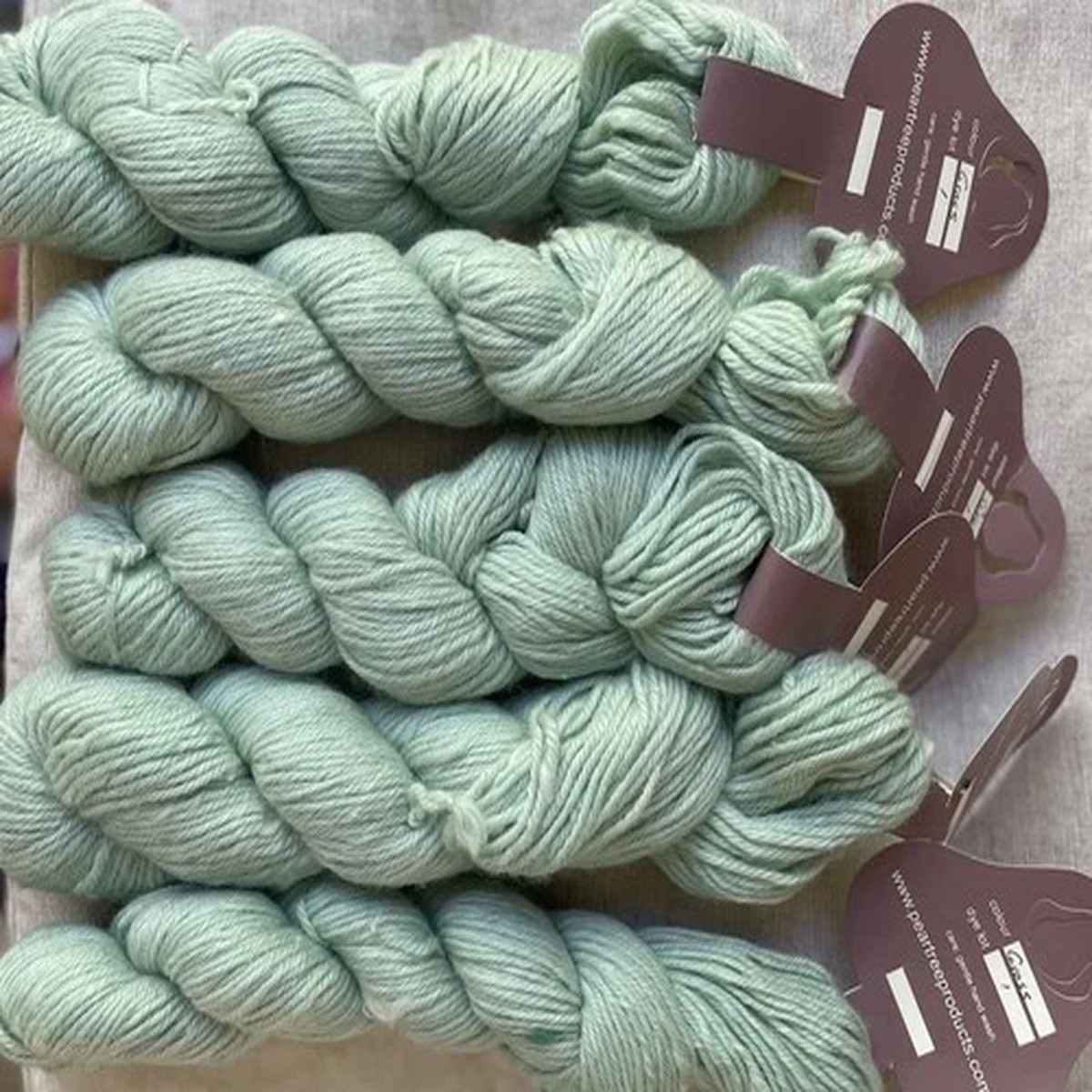 5-skeins-pear-tree-australia-100-merino-8-ply-yarn-grass-pale-green