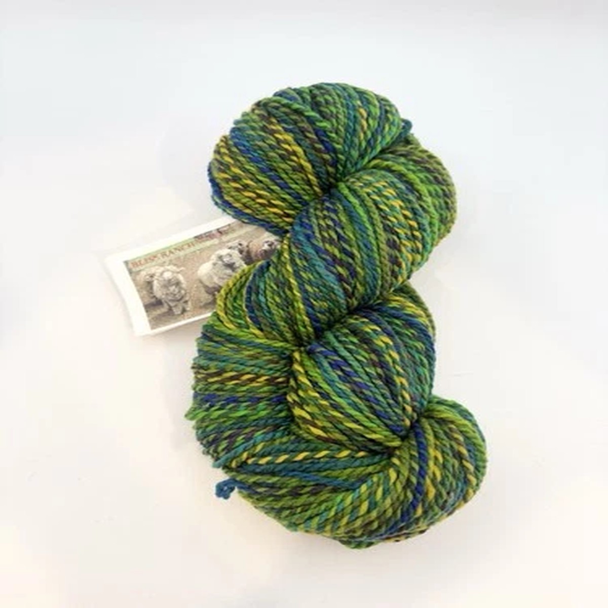you-pick-of-skeins-bliss-ranch-wool-s-merino-handpainted-240yds-dk-green