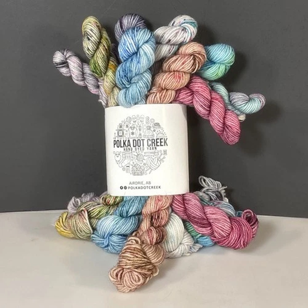 polka-dot-creek-sock-yarn-bouquet-jolly-july-speckles-merino-nylon-hand-dyed
