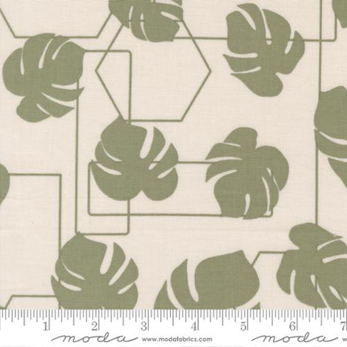 potted-collection-monstera-geo-canvas-cotton-fabric-26142
