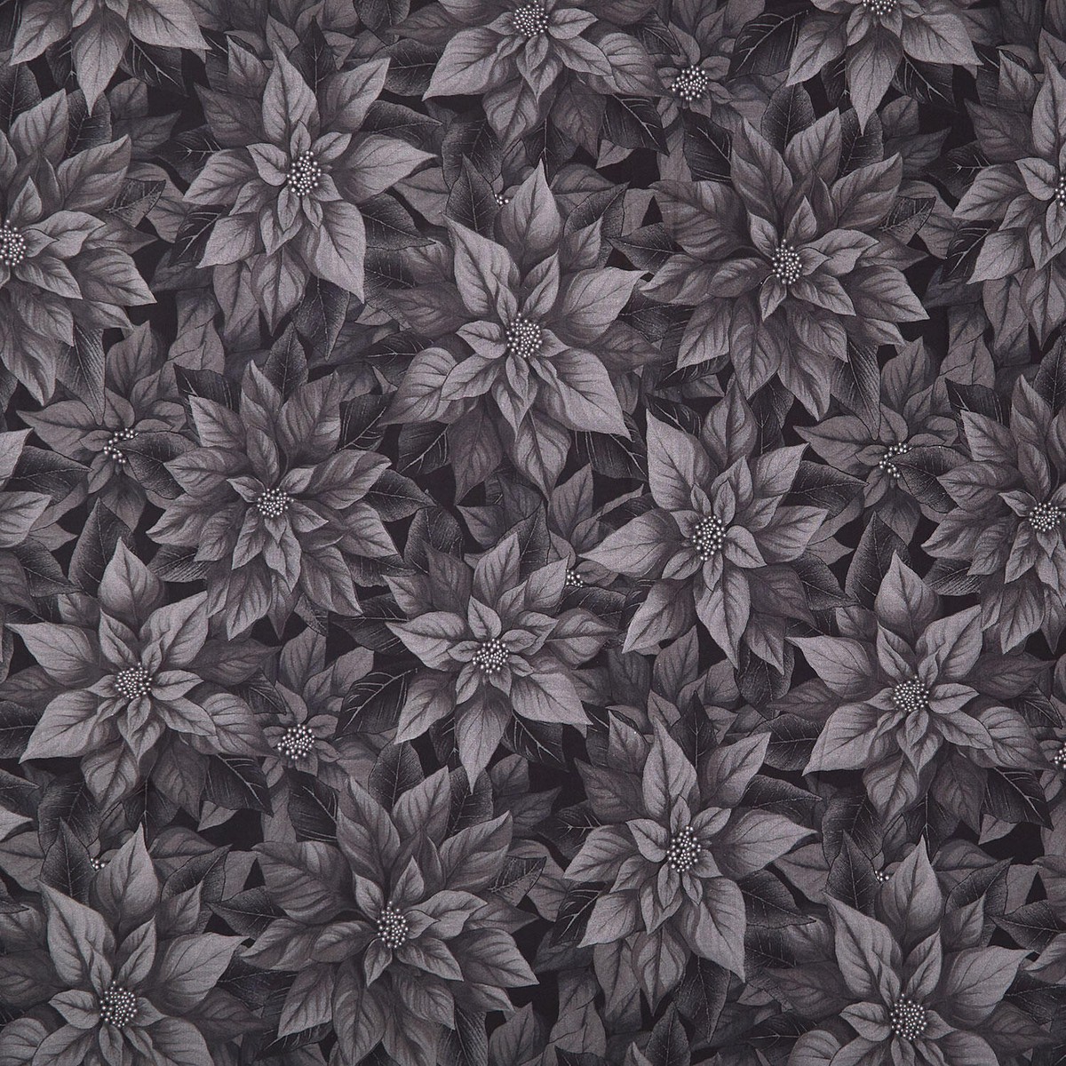 poinsettia-splendor-poinsettia-black-108-wide-backing