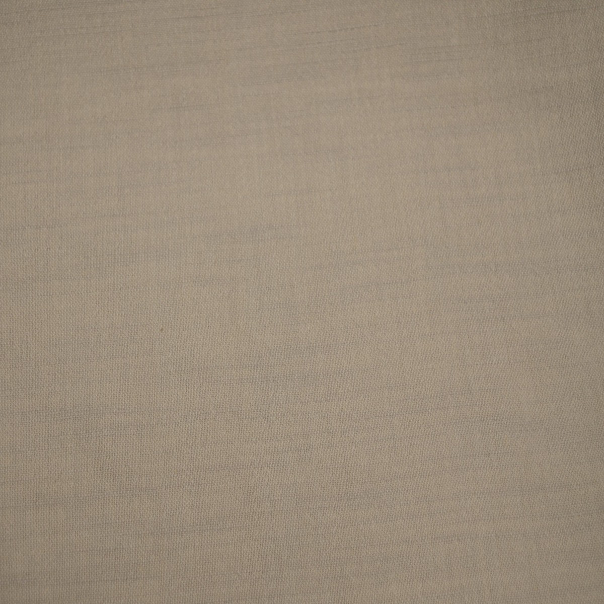 priya-shell-dorell-fabric