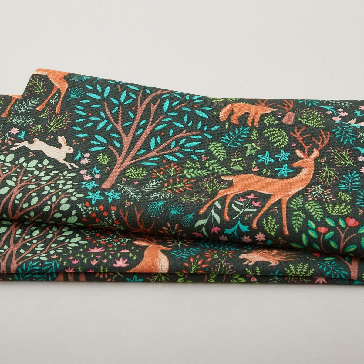 flora-fauna-forest-feature-evergreen-2-yard-cut