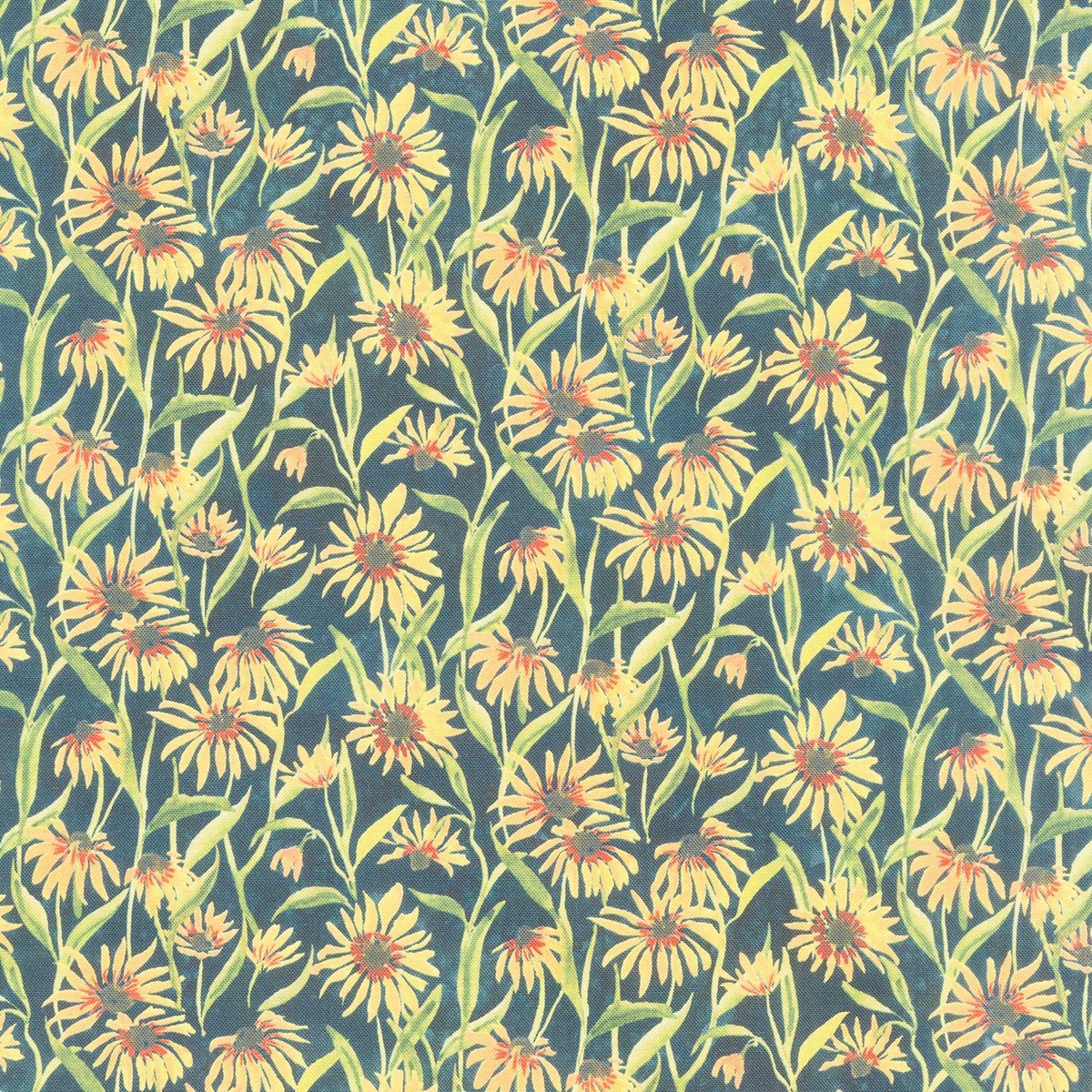 floribunda-blackeyed-suzie-q-midnight-yardage