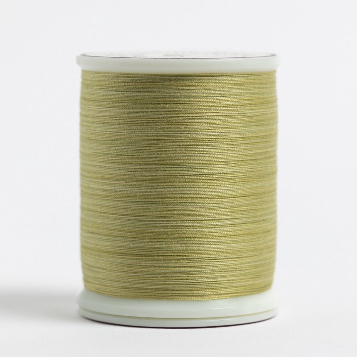 superior-king-tut-thread-date-palm-969