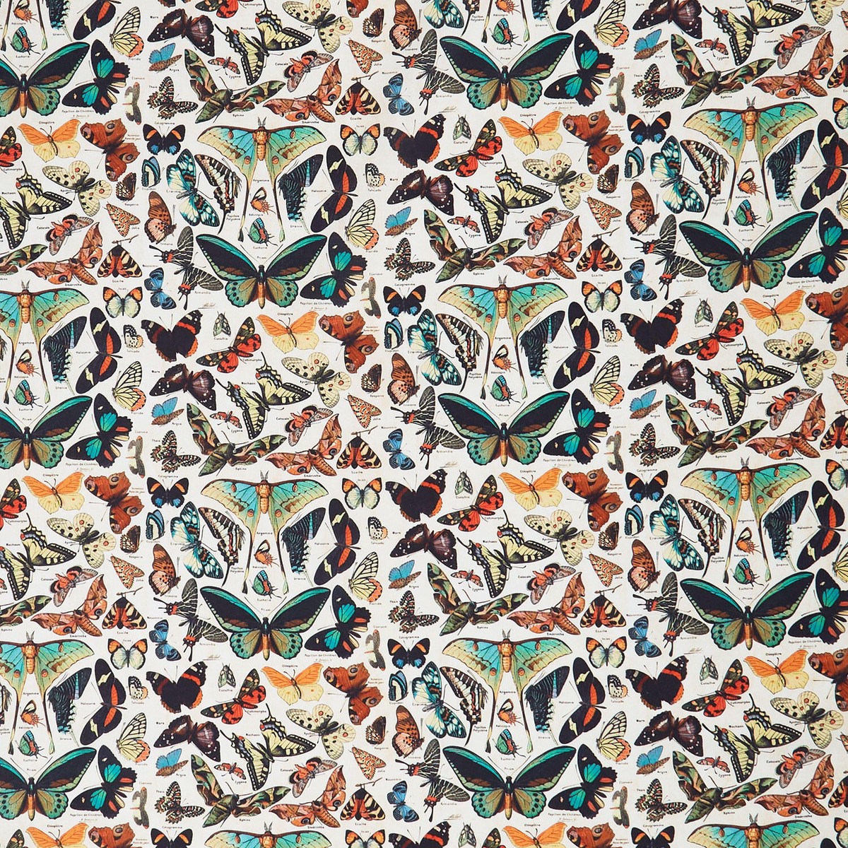 eclectic-elements-palette-butterflies-teal-yardage