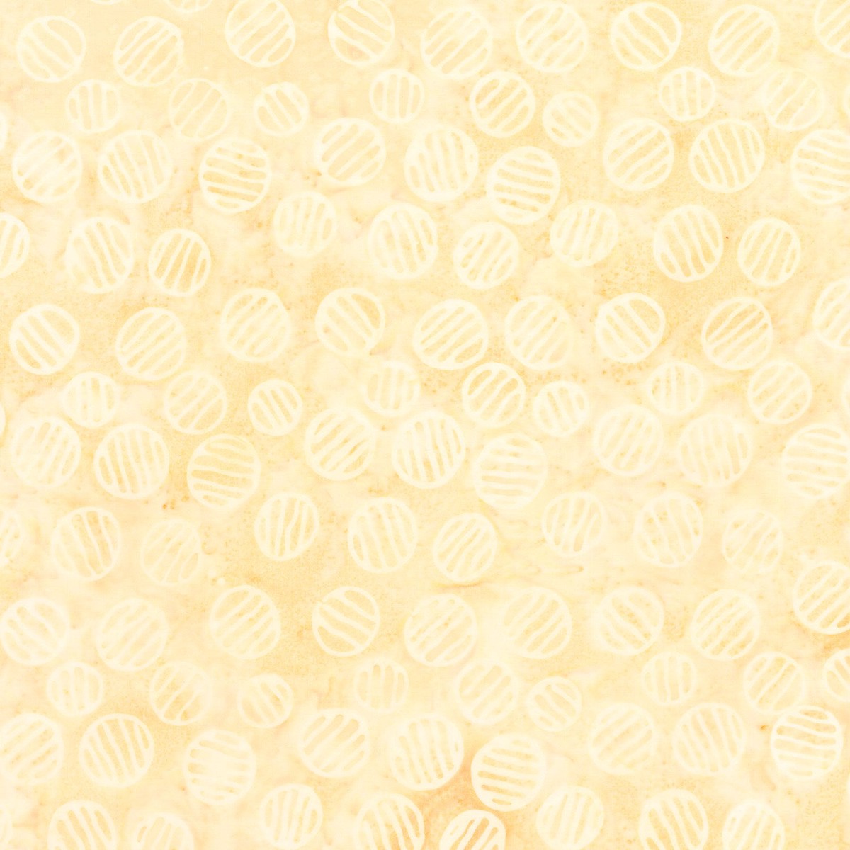 tranquil-moments-batiks-circles-with-lines-cantaloupe-yardage
