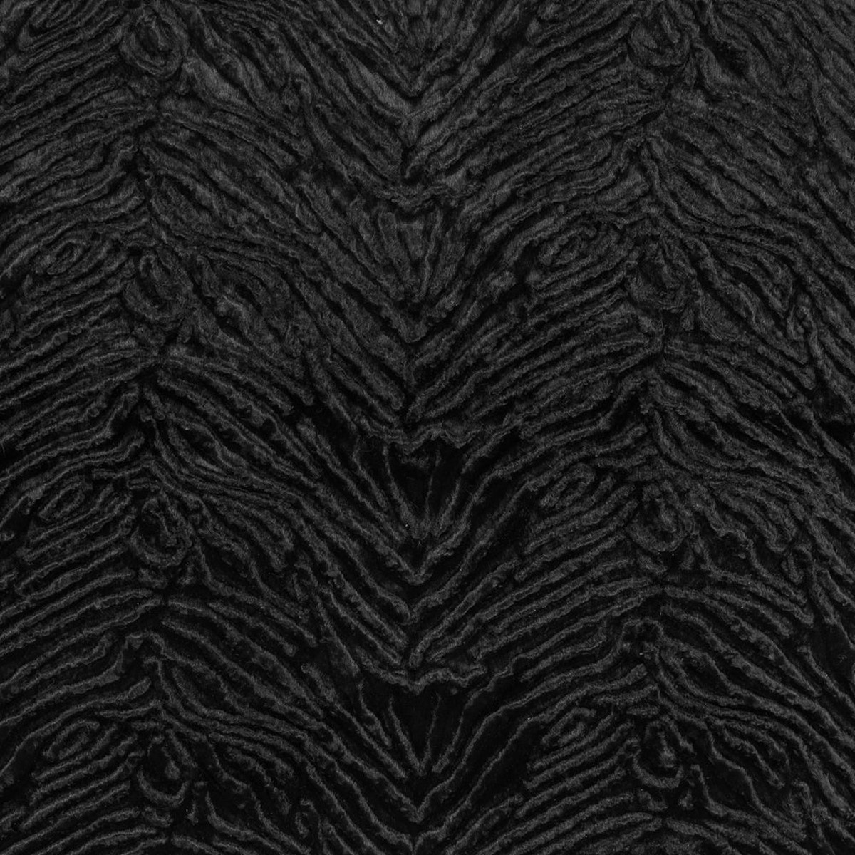 zebra-embossed-velvet-black