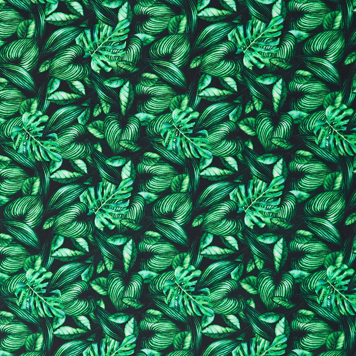 tropical-paradise-packed-foliage-black-yardage