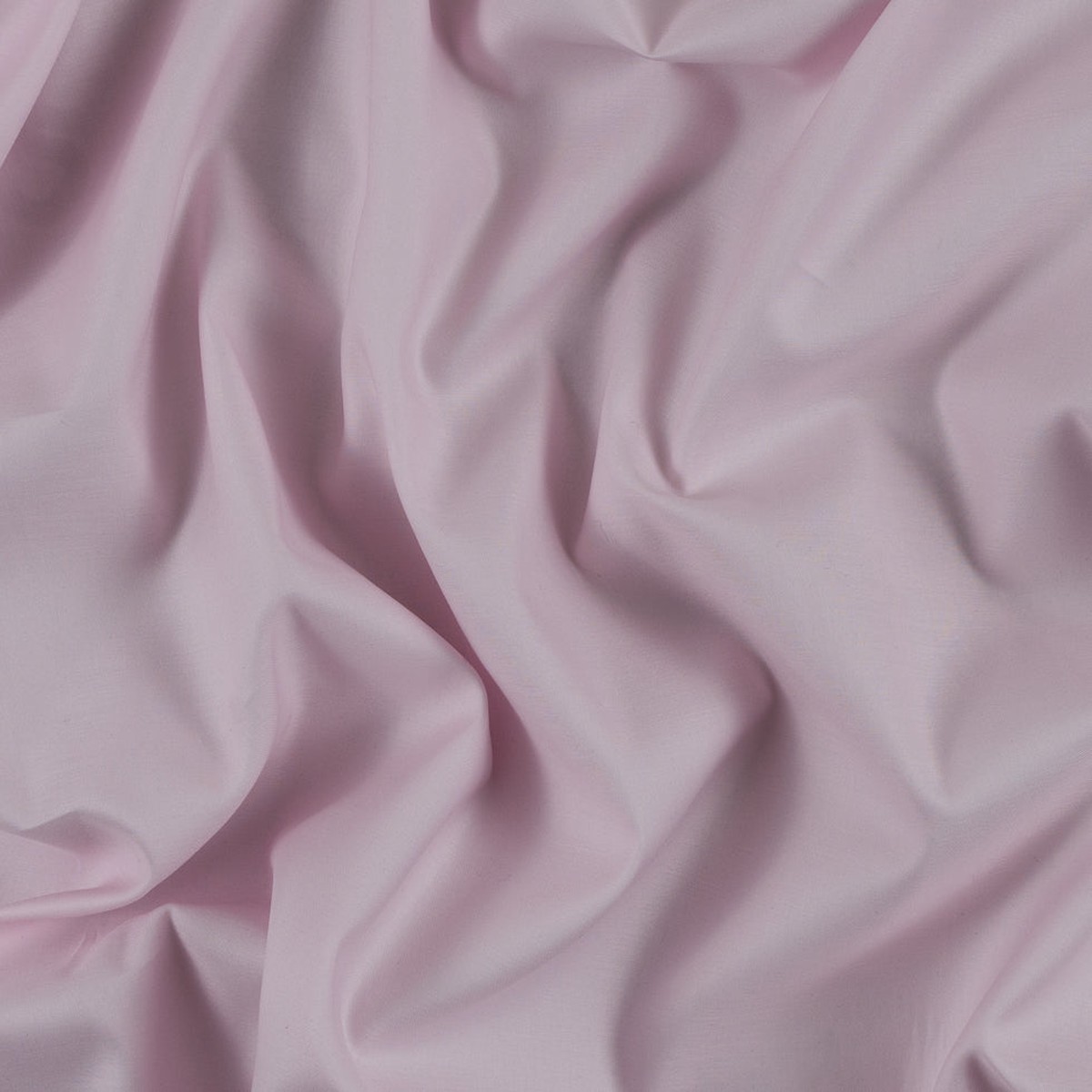 egyptian-cotton-shirting-rosette-giza-collection