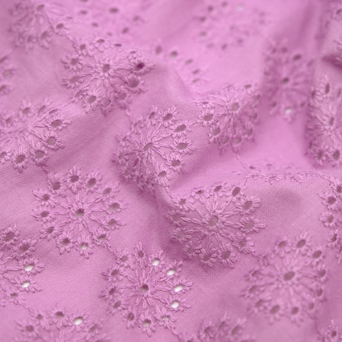 dandelion-burst-cotton-eyelet-pale-dahlia